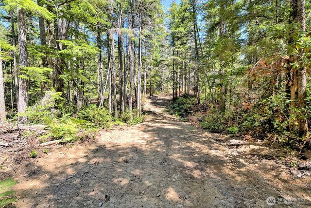 0 NE Eagle Creek Lane, Tahuya, WA 98528