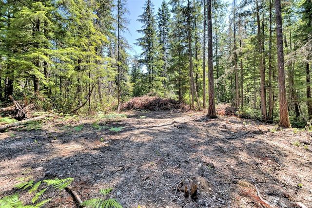 0 NE Eagle Creek Lane, Tahuya, WA 98528