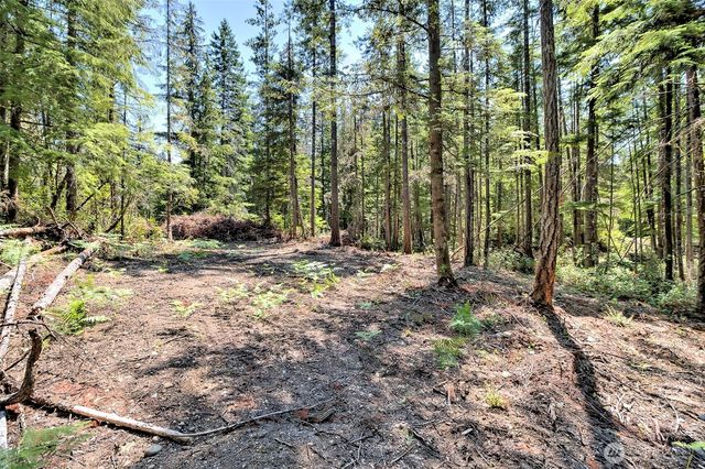 0 NE Eagle Creek Lane, Tahuya, WA 98528