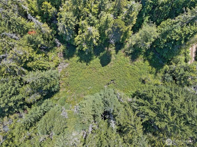 0 NE Eagle Creek Lane, Tahuya, WA 98528