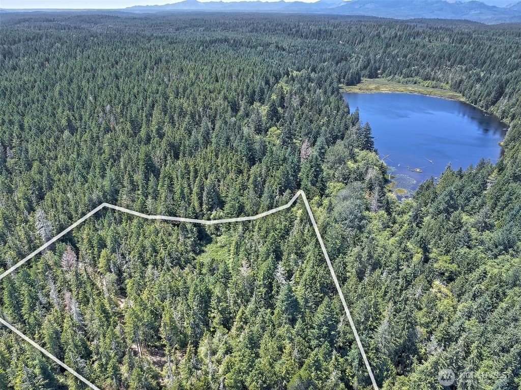 0 NE Eagle Creek Lane, Tahuya, WA 98528