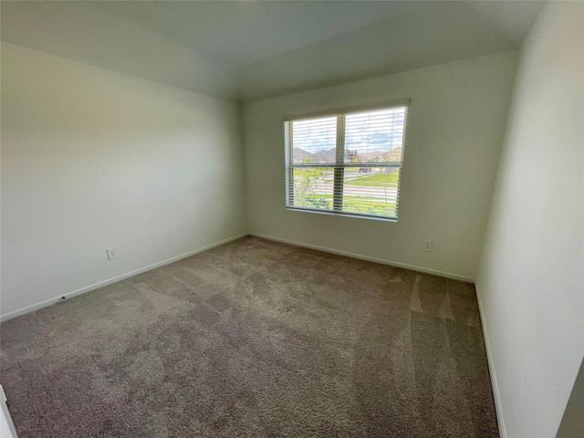 17202 Coppice Oak Drive, Hockley, TX 77447