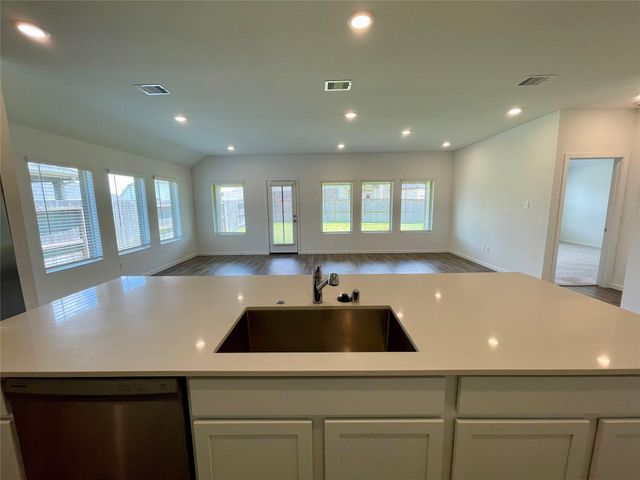 17202 Coppice Oak Drive, Hockley, TX 77447
