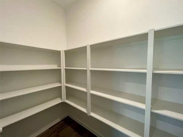 17202 Coppice Oak Drive, Hockley, TX 77447