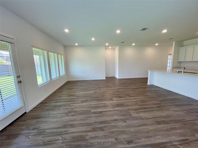 17202 Coppice Oak Drive, Hockley, TX 77447