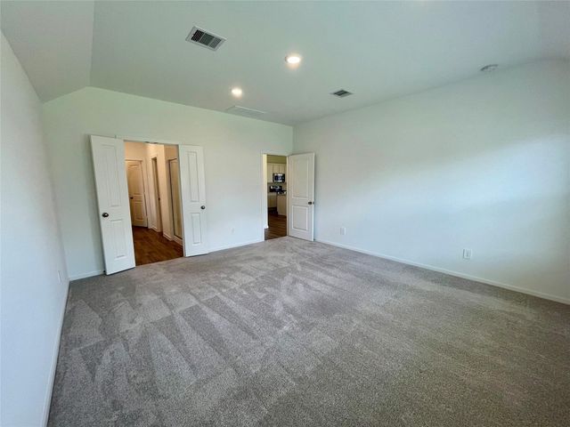 17202 Coppice Oak Drive, Hockley, TX 77447