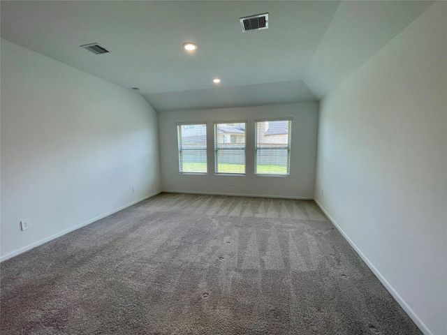 17202 Coppice Oak Drive, Hockley, TX 77447