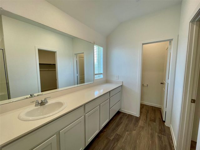 17202 Coppice Oak Drive, Hockley, TX 77447