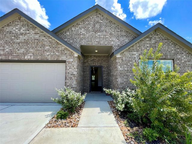 17202 Coppice Oak Drive, Hockley, TX 77447