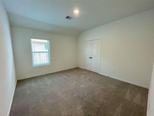 17202 Coppice Oak Drive, Hockley, TX 77447