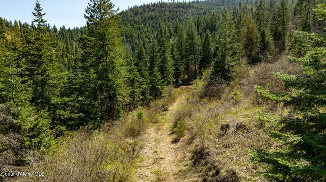 11817 W Garrett Ct, Post Falls, ID 83854