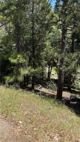 0 Thunderbird, Lake Arrowhead, CA 92352