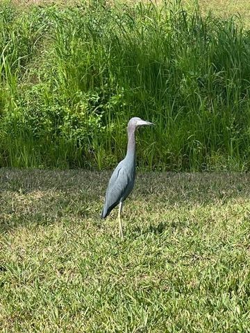 12424 GROUSE AVENUE 15A, Port Charlotte, FL 33981