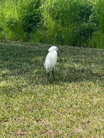 12424 GROUSE AVENUE 15A, Port Charlotte, FL 33981