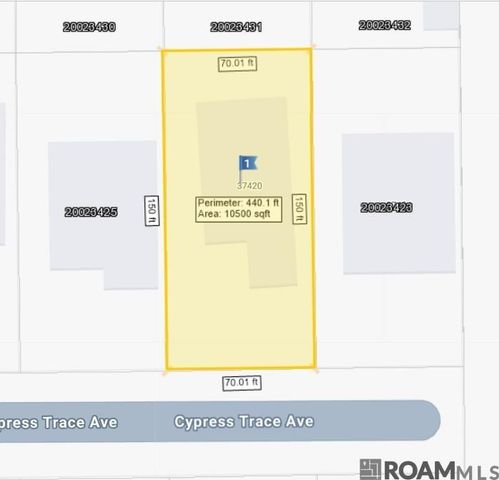 37420 Cypress Trace Ave, Geismar, LA 70734