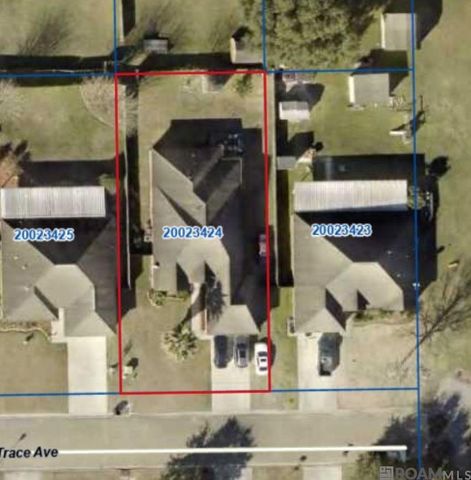 37420 Cypress Trace Ave, Geismar, LA 70734