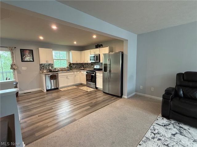 141 Grass Court, Painesville Twp, OH 44077