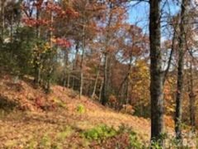 542 & 545A McKenzie Way S 542 & 545, Old Fort, NC 28762