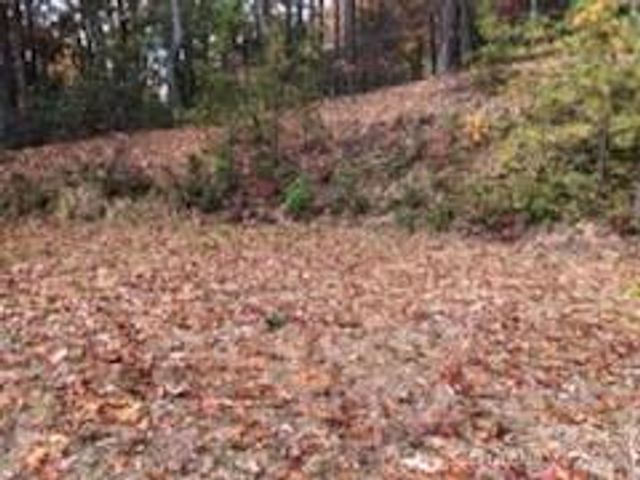 542 & 545A McKenzie Way S 542 & 545, Old Fort, NC 28762