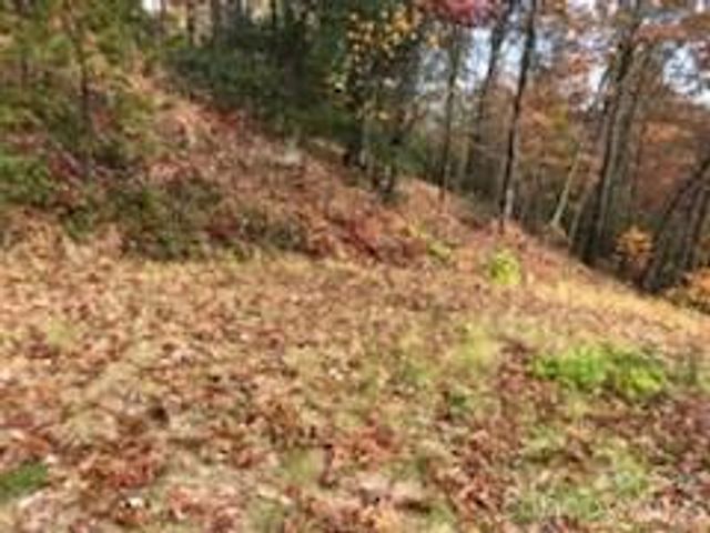 542 & 545A McKenzie Way S 542 & 545, Old Fort, NC 28762