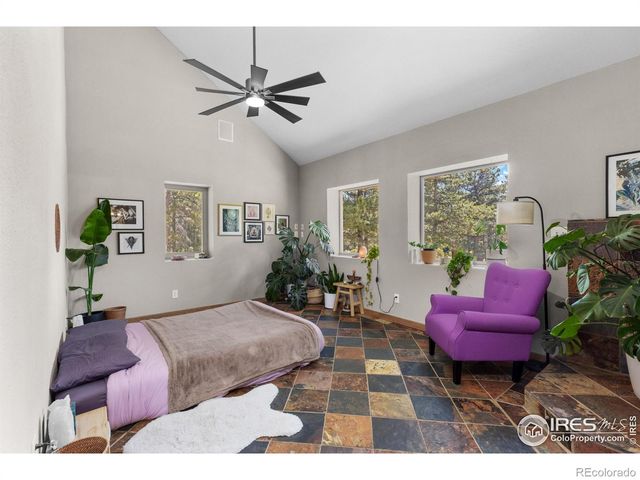 187 Lynx Drive, Ward, CO 80481