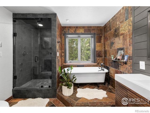 187 Lynx Drive, Ward, CO 80481