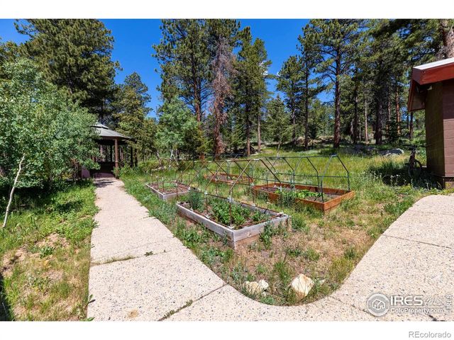 187 Lynx Drive, Ward, CO 80481