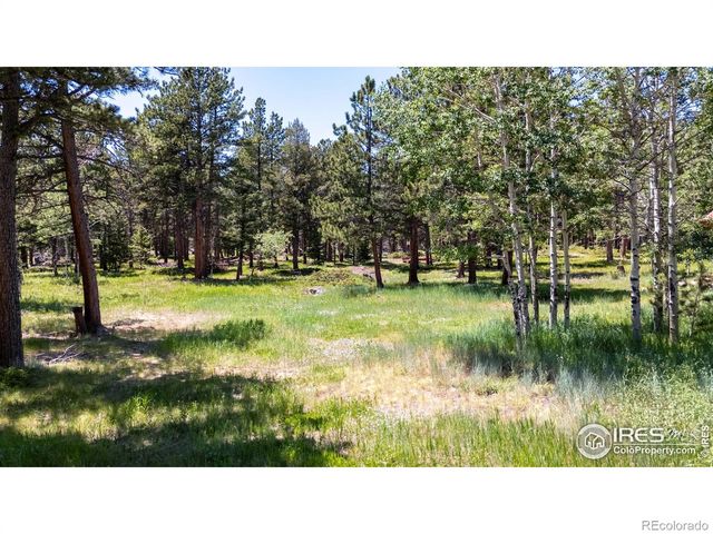 187 Lynx Drive, Ward, CO 80481