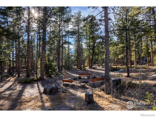 187 Lynx Drive, Ward, CO 80481