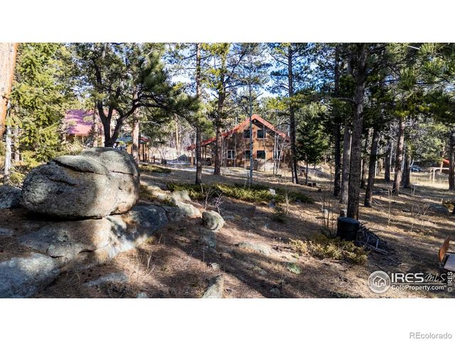 187 Lynx Drive, Ward, CO 80481