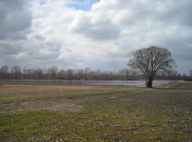 0 Lower Big Sandy Rd, Big Sandy, TN 38221