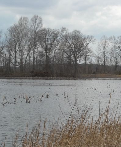 0 Lower Big Sandy Rd, Big Sandy, TN 38221