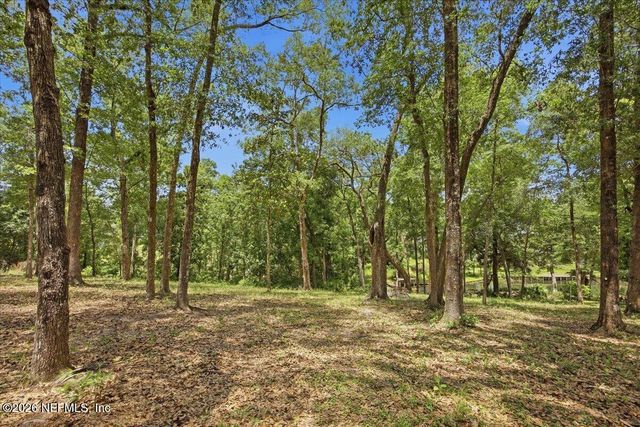 1239 LAKE ASBURY Drive, Green Cove Springs, FL 32043