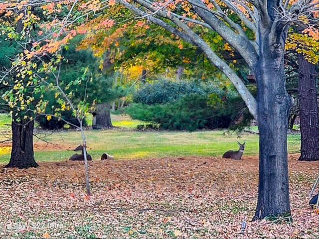 1307 Cross Creek Road, Mahomet, IL 61853