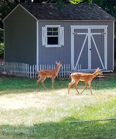 1307 Cross Creek Road, Mahomet, IL 61853