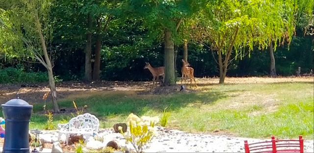 1307 Cross Creek Road, Mahomet, IL 61853