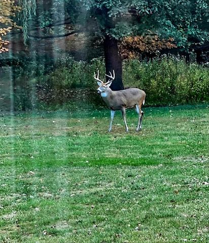 1307 Cross Creek Road, Mahomet, IL 61853