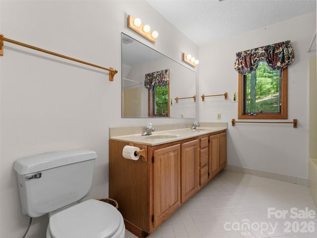 43 Hungryneck Hollow Lane, Saluda, NC 28773