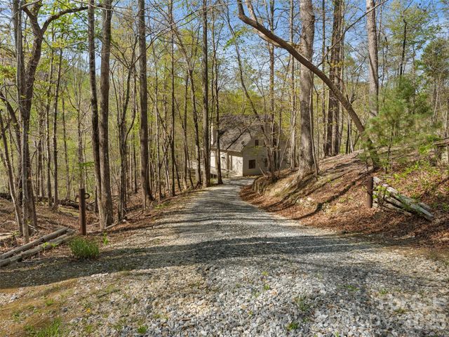 43 Hungryneck Hollow Lane, Saluda, NC 28773