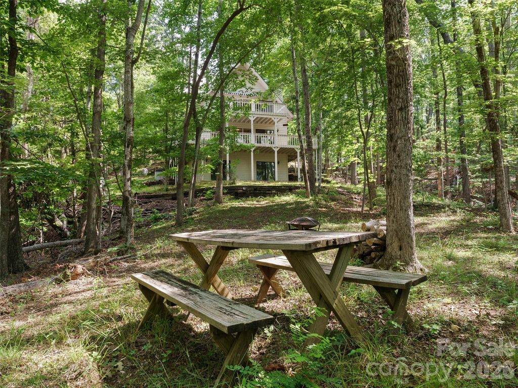43 Hungryneck Hollow Lane, Saluda, NC 28773