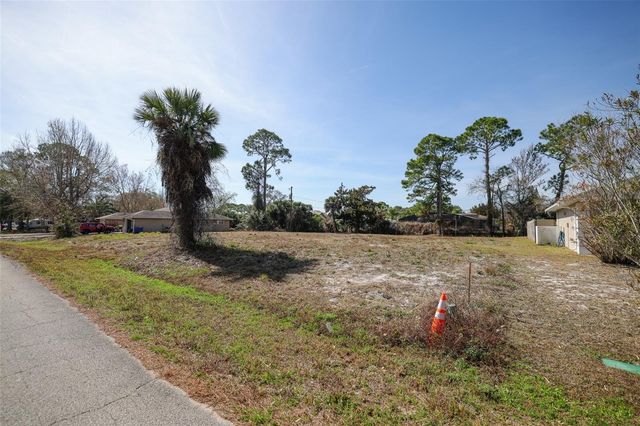 3128 INDIA PALM DRIVE, Edgewater, FL 32141