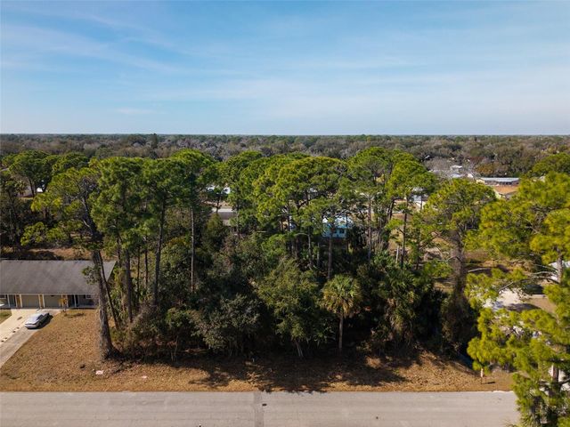 3128 INDIA PALM DRIVE, Edgewater, FL 32141