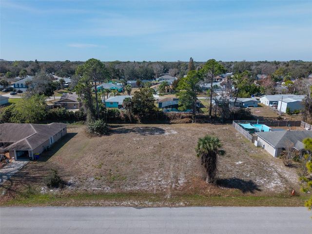 3128 INDIA PALM DRIVE, Edgewater, FL 32141