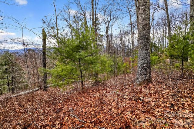 149 Turkey Trot Trail 17, Marshall, NC 28753