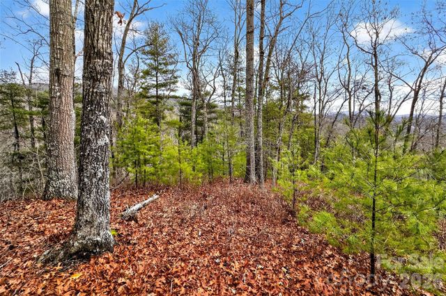 149 Turkey Trot Trail 17, Marshall, NC 28753