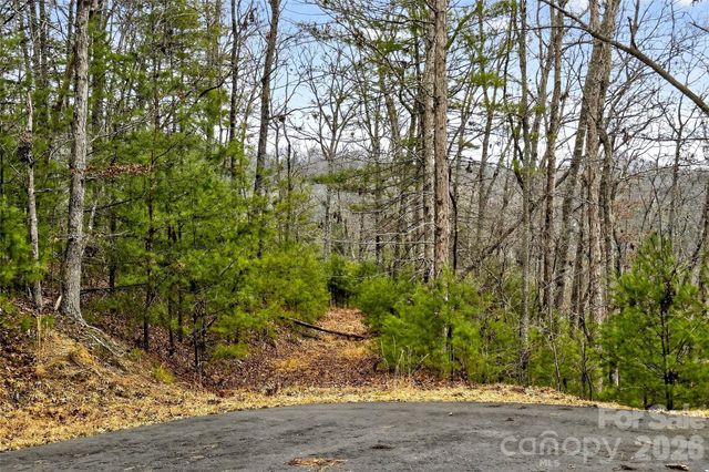 149 Turkey Trot Trail 17, Marshall, NC 28753