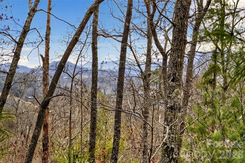 149 Turkey Trot Trail 17, Marshall, NC 28753