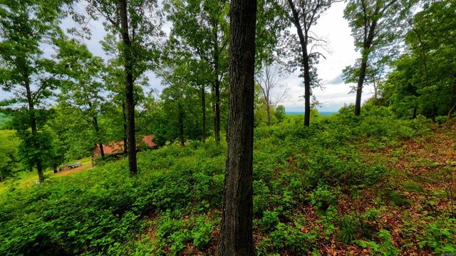19458 Highway 289 N, Mammoth Spring, AR 72554