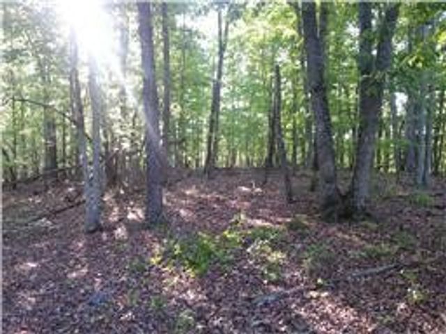 0 Inland Court, Sparta, TN 38583