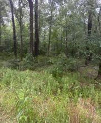 TBD Moonbeam Dr, Livingston, TX 77351
